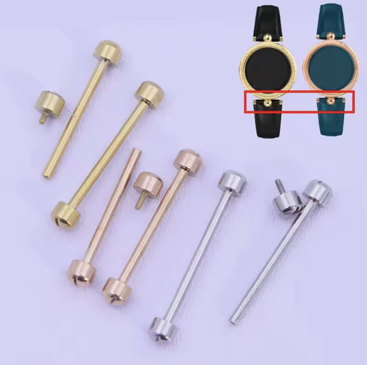 Kit de barrettes à ressort vis - Spring Bar Tool avis et prix